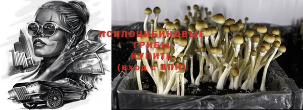 дмт Пестово