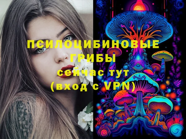дурь Аркадак