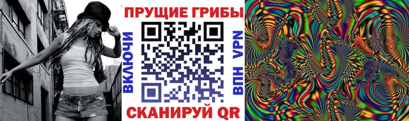Псилоцибиновые грибы Magic Shrooms  Городище 